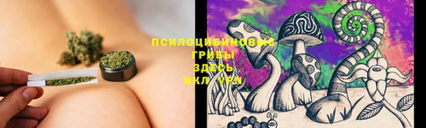 а пвп мука Гусиноозёрск