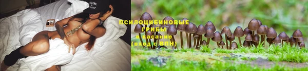 марки lsd Гусь-Хрустальный